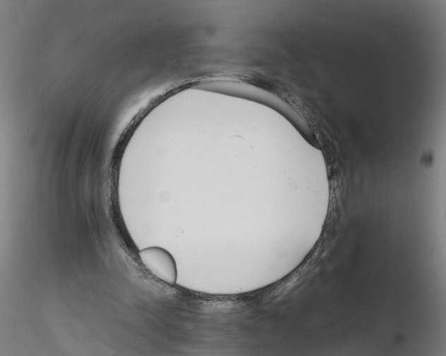 X0000115620342200912221233