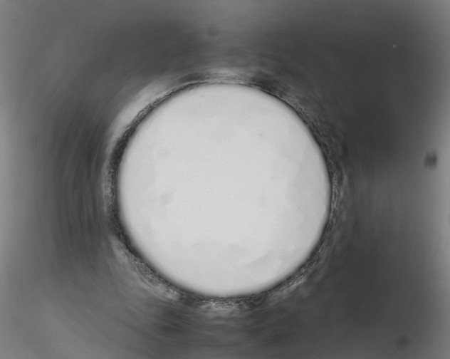 X0000115620343200912221233
