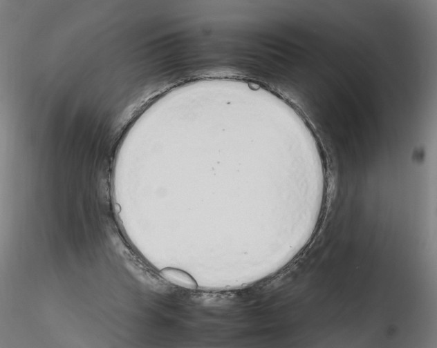 X0000115620345200912221233