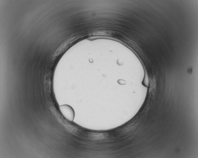 X0000115620349200912221233