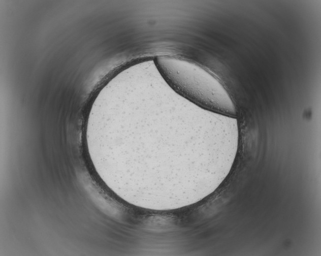 X0000115620350200912221233