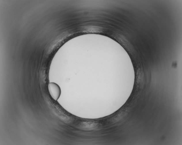X0000115620351200912221233