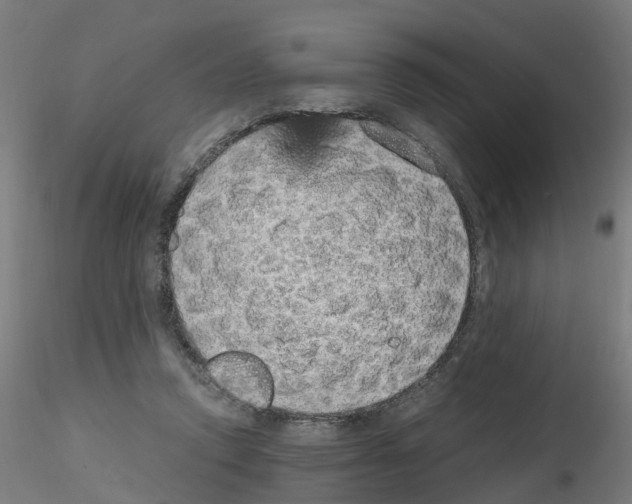 X0000115620354200912221233