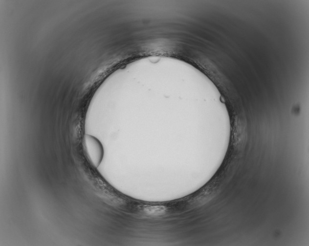 X0000115620355200912221233