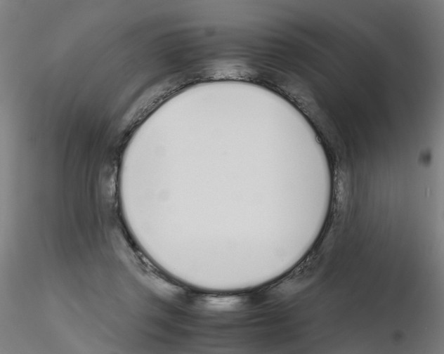 X0000115620357200912221233