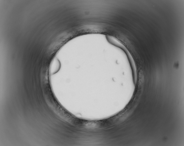 X0000115620358200912221233