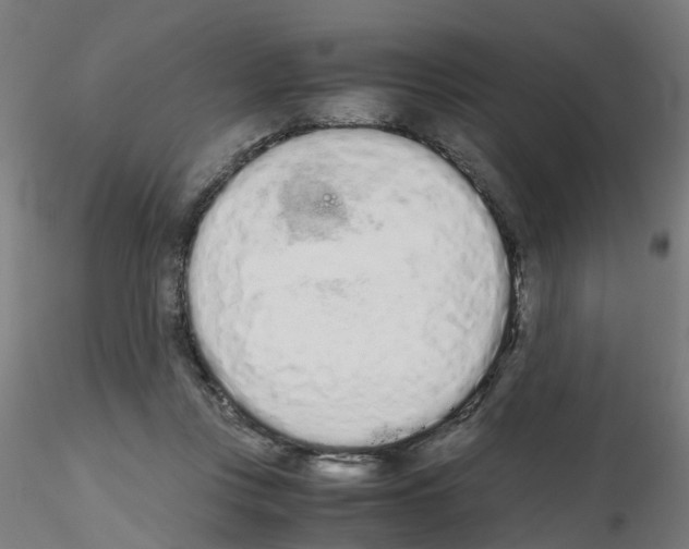 X0000115620359200912221233