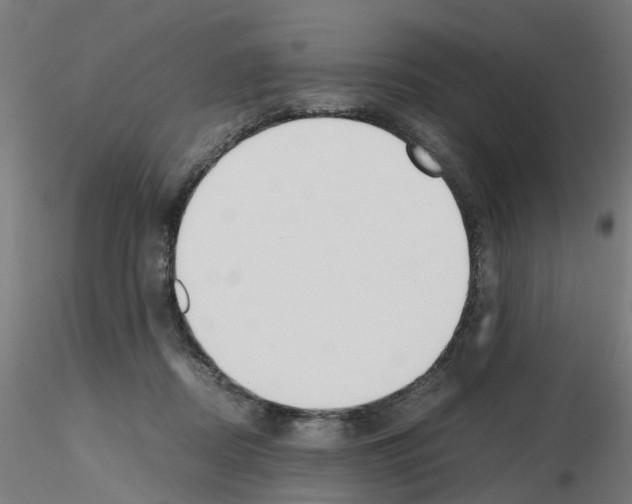 X0000115620362200912221233