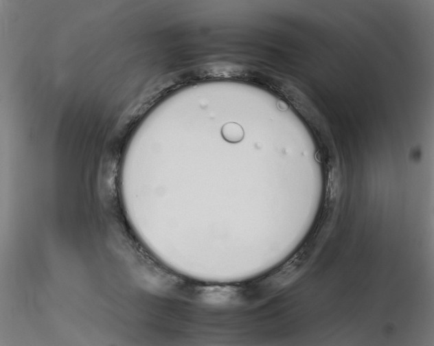 X0000115620363200912221233
