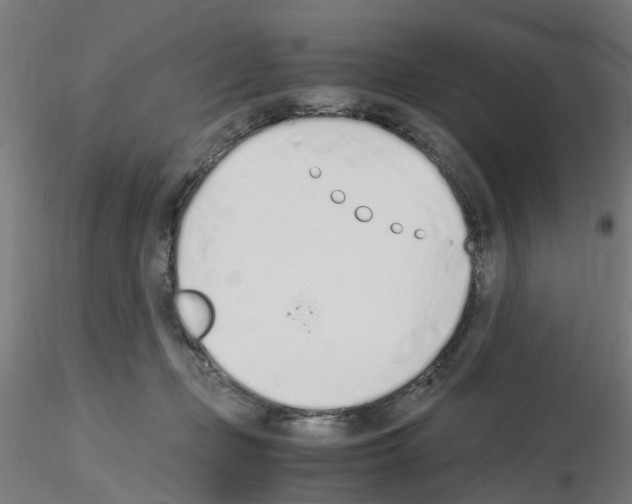 X0000115620365200912221233