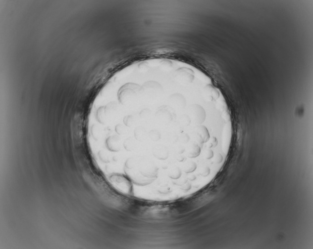 X0000115620366200912221233