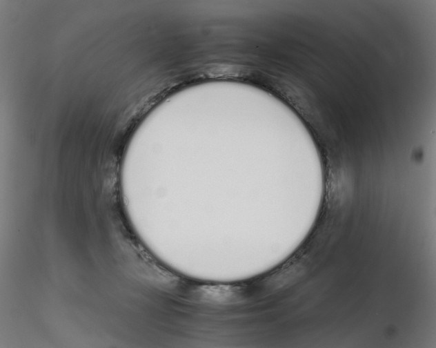 X0000115620367200912221233