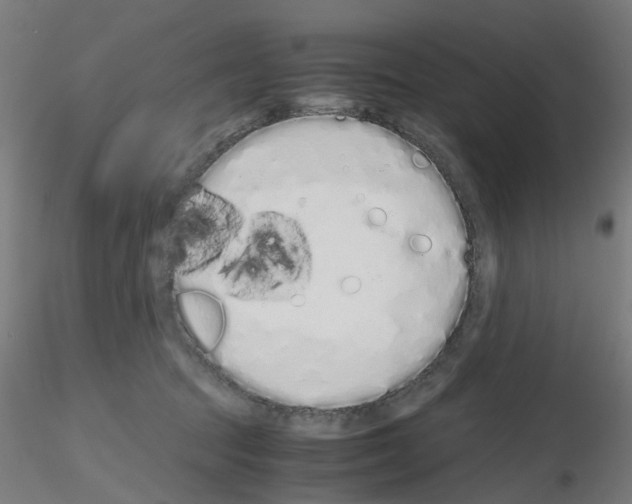 X0000115620369200912221233