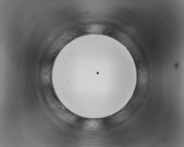 X0000115620370200912221233