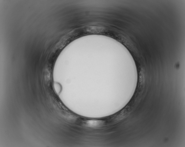 X0000115620371200912221233