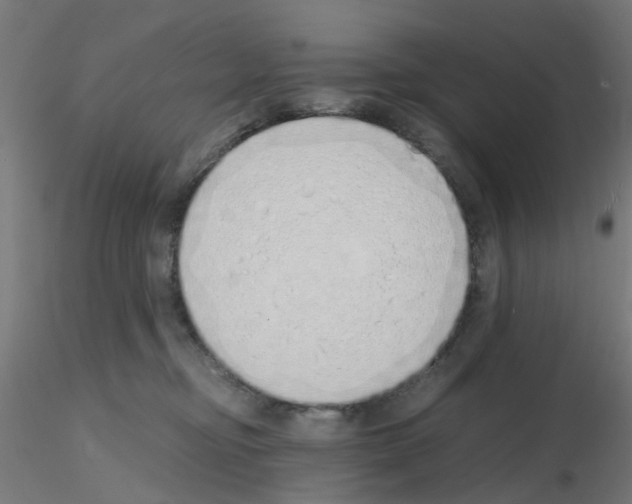 X0000115620374200912221233