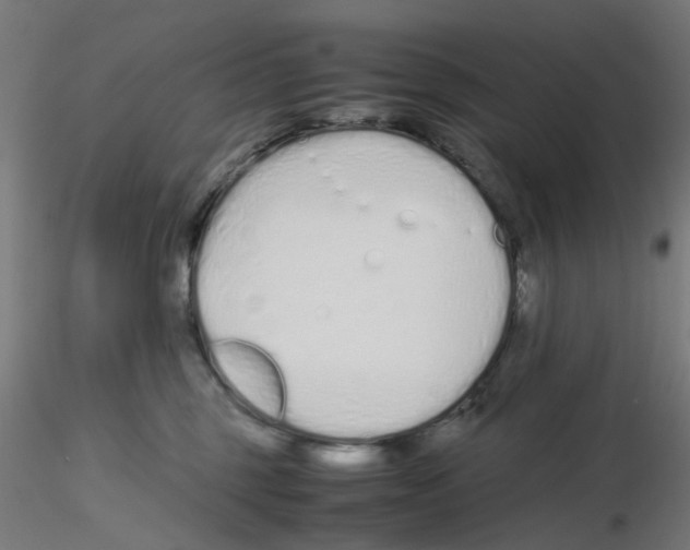 X0000115620375200912221233
