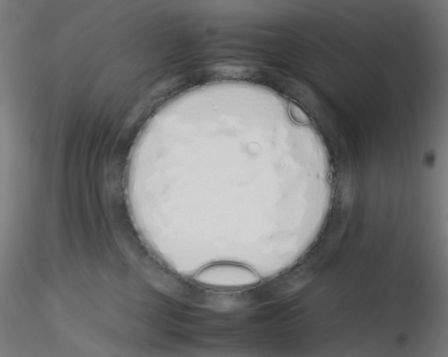 X0000115620377200912221233