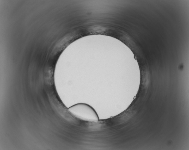 X0000115620378200912221233
