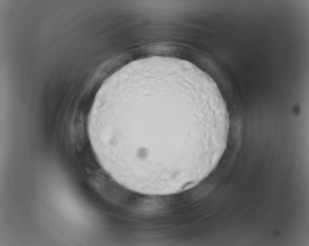 X0000115620381200912221233