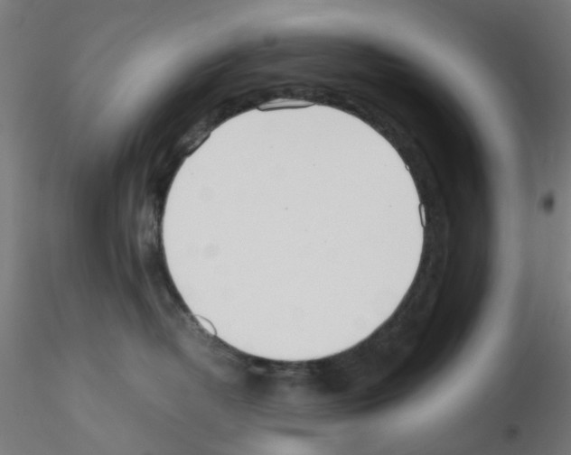 X0000115620382200912221233