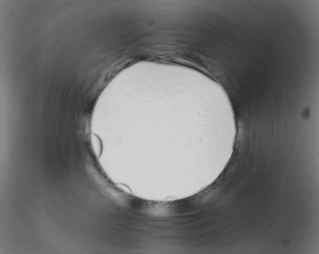 X0000115620383200912221233