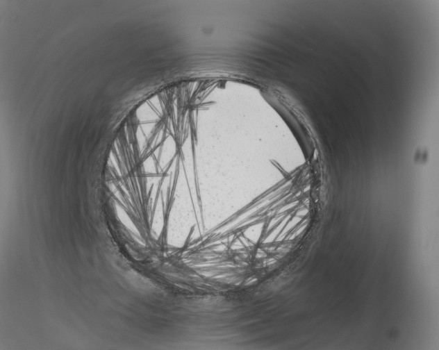 X0000115620385200912221233