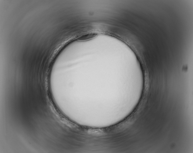 X0000115620386200912221232