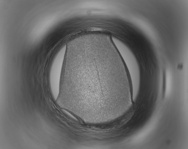 X0000115620387200912221232