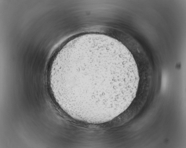 X0000115620388200912221232