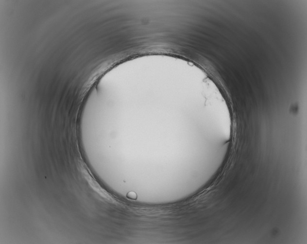 X0000115620389200912221232