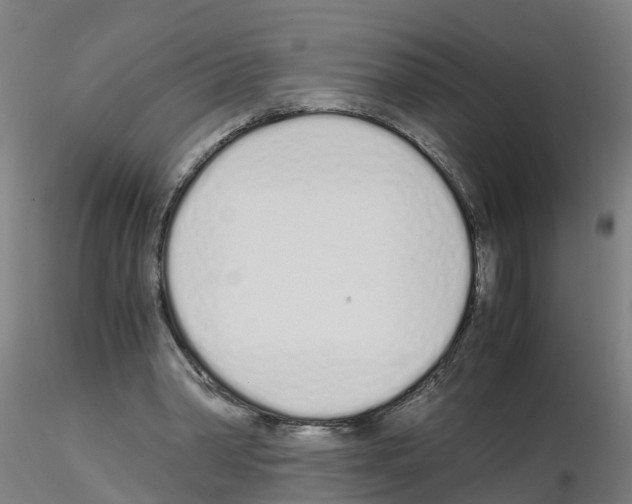 X0000115620390200912221232
