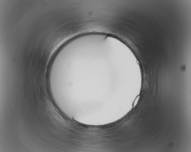 X0000115620391200912221232
