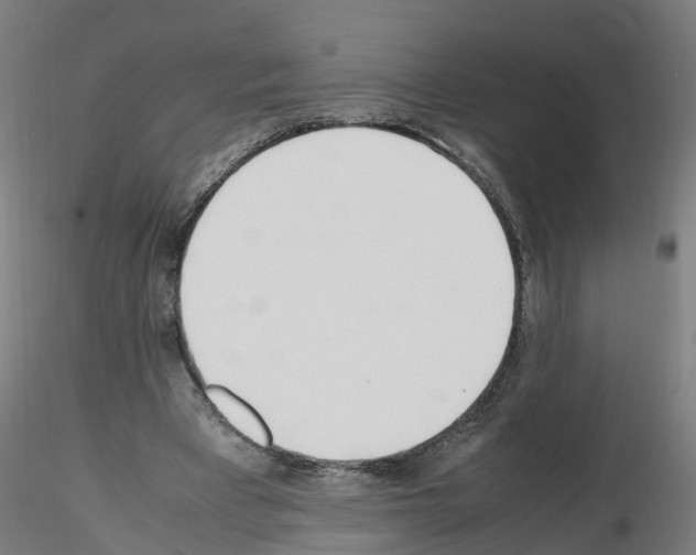 X0000115620393200912221232