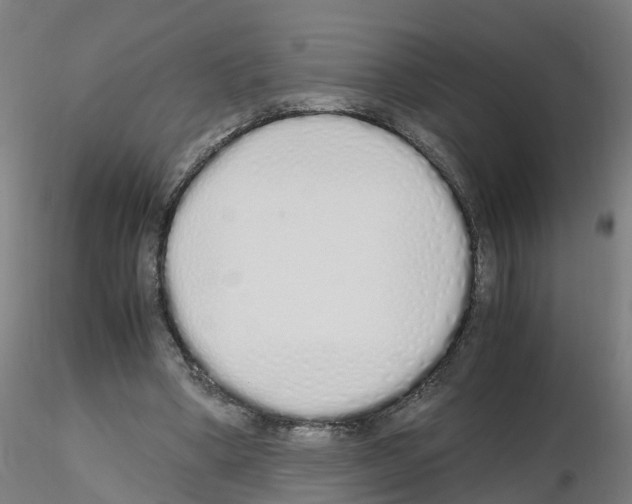 X0000115620394200912221232