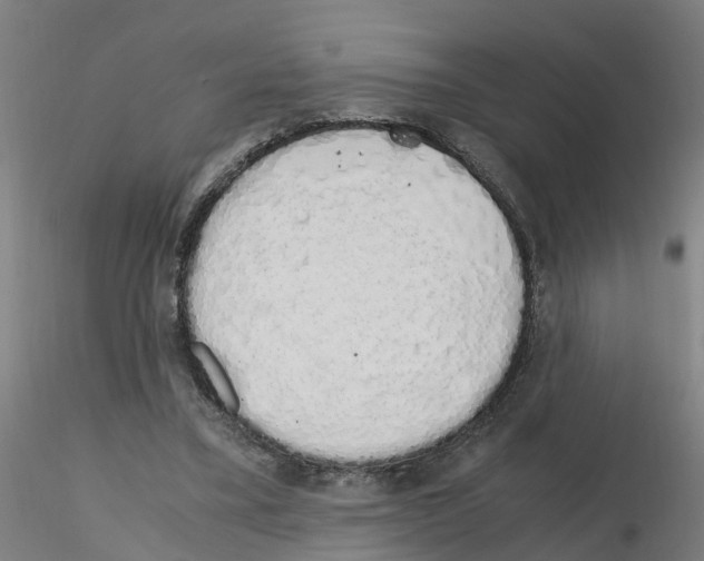 X0000115620395200912221232