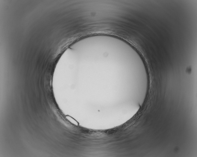 X0000115620397200912221232