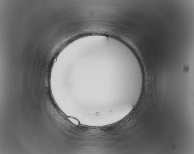 X0000115620399200912221232