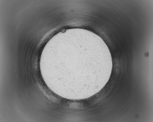 X0000115620400200912221232