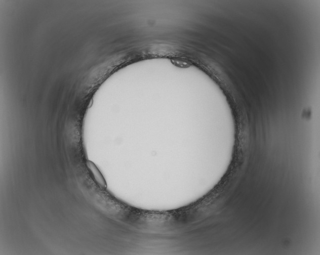 X0000115620401200912221232
