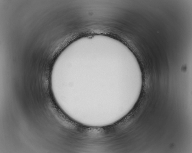 X0000115620402200912221232
