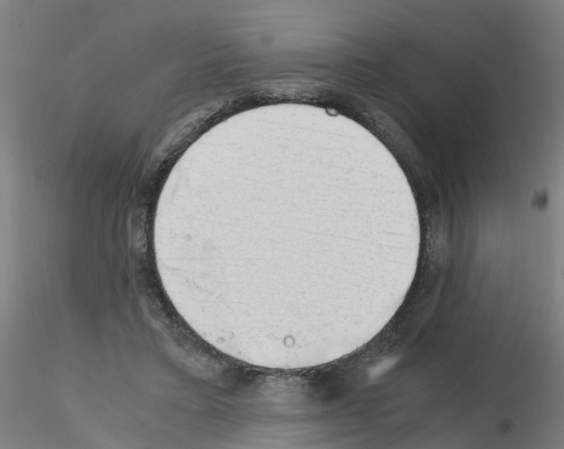 X0000115620403200912221232
