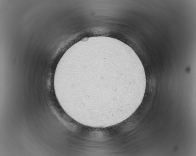 X0000115620404200912221232