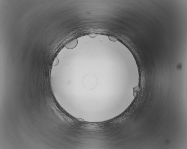 X0000115620405200912221232