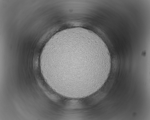 X0000115620406200912221232