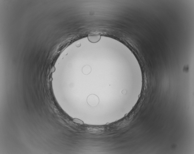 X0000115620407200912221232