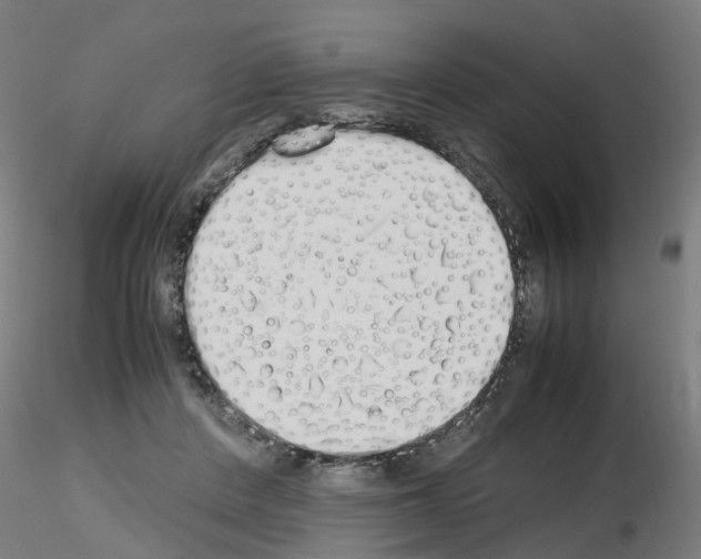 X0000115620408200912221232