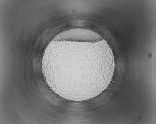X0000115620409200912221232