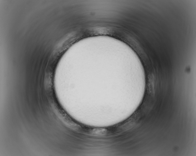 X0000115620410200912221232