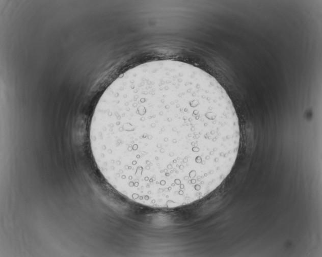 X0000115620412200912221232